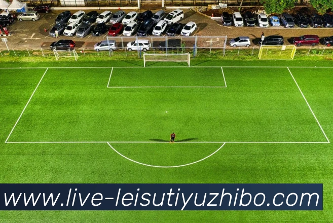 雷速体育直播平台生态图